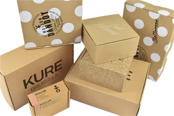 Livraison express Colis dans Zwijnaarde BE